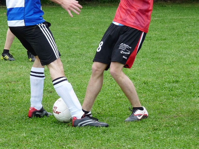 综上所述 综上所述