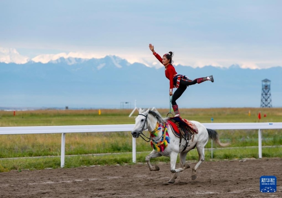 G网络的建 G网络的建