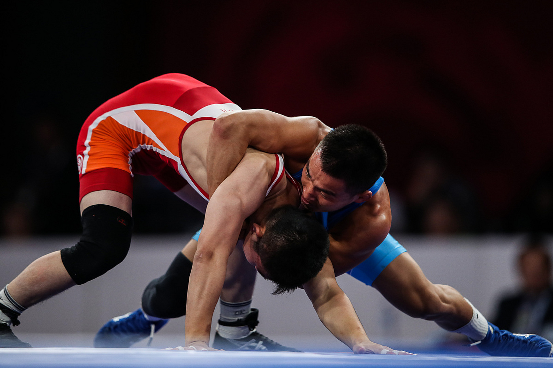 合法合规 合法合规