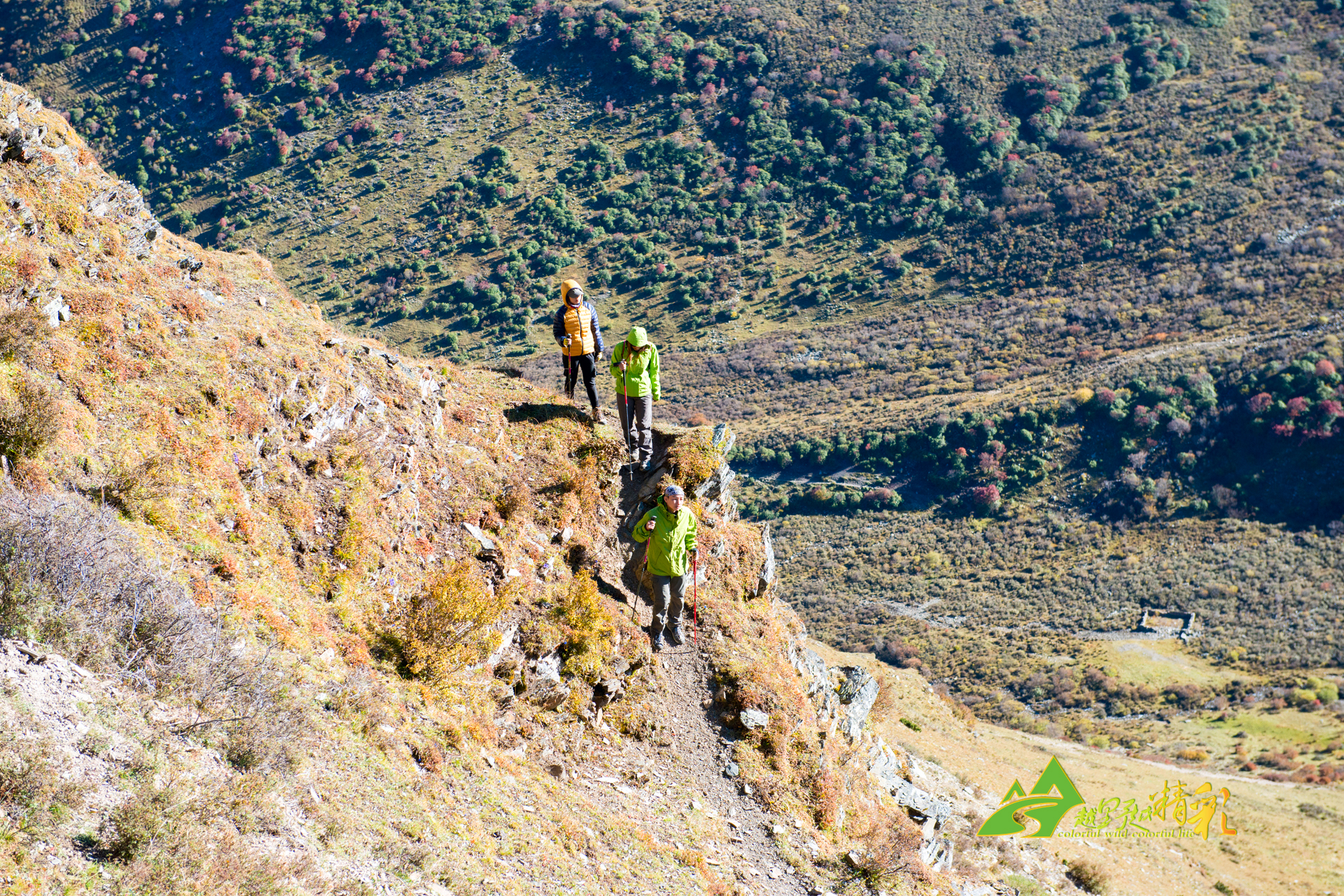 但这并不意 但这并不意