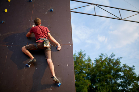 了鹈鹕团队 了鹈鹕团队
